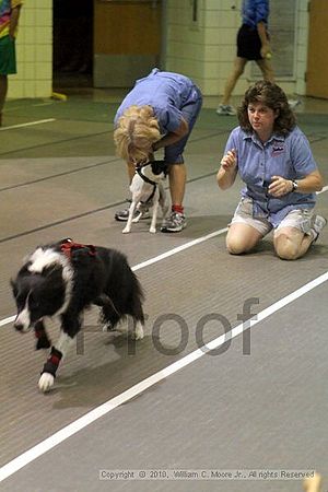 Birmingham Bandits Summer Shootout<br />June 26, 2010<br />Bessemer Civic Center<br />Bessemer Al