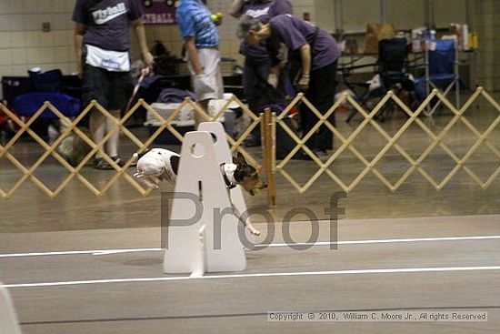 Birmingham Bandits Summer Shootout<br />June 26, 2010<br />Bessemer Civic Center<br />Bessemer Al