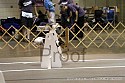 img_5002_thm.jpg