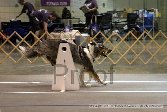 Birmingham Bandits Summer Shootout<br />June 26, 2010<br />Bessemer Civic Center<br />Bessemer Al