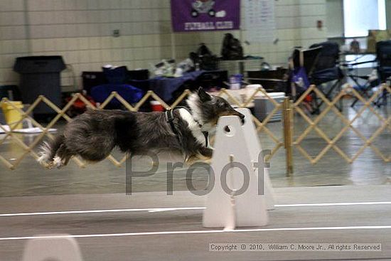 Birmingham Bandits Summer Shootout<br />June 26, 2010<br />Bessemer Civic Center<br />Bessemer Al