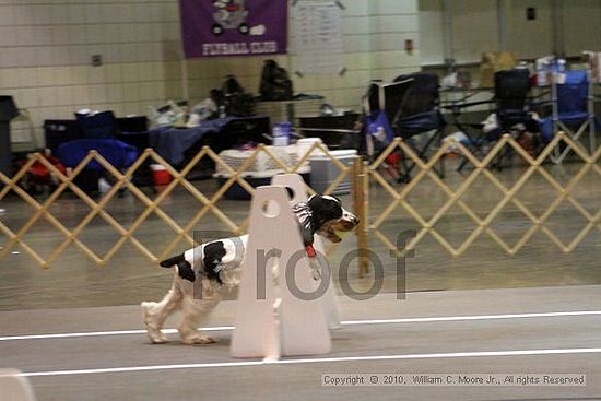 Birmingham Bandits Summer Shootout<br />June 26, 2010<br />Bessemer Civic Center<br />Bessemer Al