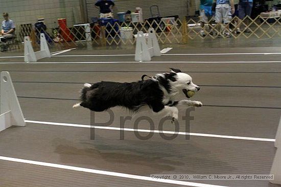 Birmingham Bandits Summer Shootout<br />June 26, 2010<br />Bessemer Civic Center<br />Bessemer Al