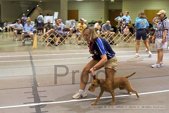 Birmingham Bandits Summer Shootout<br />June 26, 2010<br />Bessemer Civic Center<br />Bessemer Al