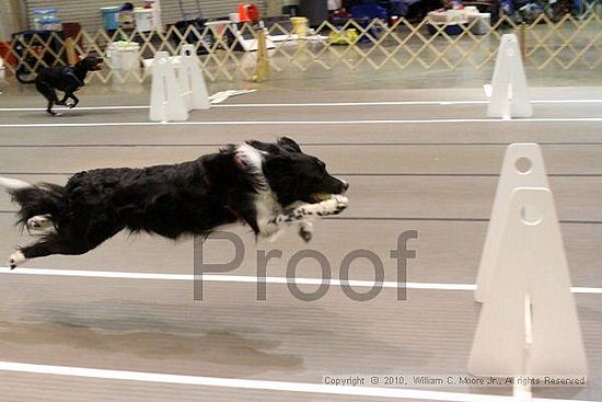 Birmingham Bandits Summer Shootout<br />June 26, 2010<br />Bessemer Civic Center<br />Bessemer Al