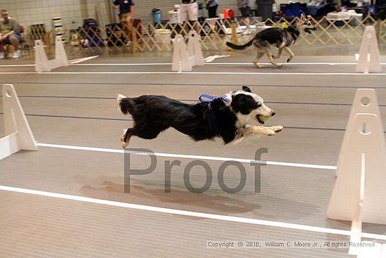 Birmingham Bandits Summer Shootout<br />June 26, 2010<br />Bessemer Civic Center<br />Bessemer Al