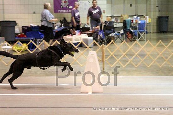 Birmingham Bandits Summer Shootout<br />June 26, 2010<br />Bessemer Civic Center<br />Bessemer Al