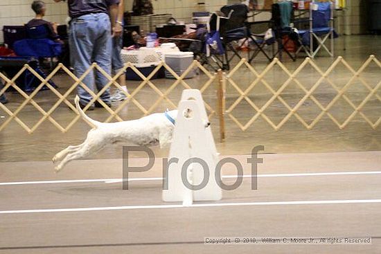 Birmingham Bandits Summer Shootout<br />June 26, 2010<br />Bessemer Civic Center<br />Bessemer Al