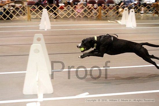 Birmingham Bandits Summer Shootout<br />June 26, 2010<br />Bessemer Civic Center<br />Bessemer Al