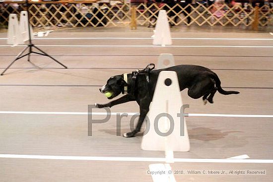 Birmingham Bandits Summer Shootout<br />June 26, 2010<br />Bessemer Civic Center<br />Bessemer Al