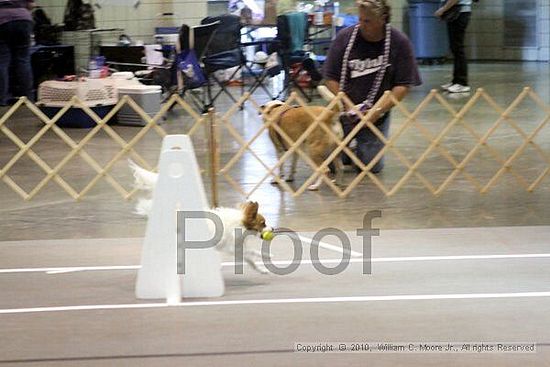 Birmingham Bandits Summer Shootout<br />June 26, 2010<br />Bessemer Civic Center<br />Bessemer Al