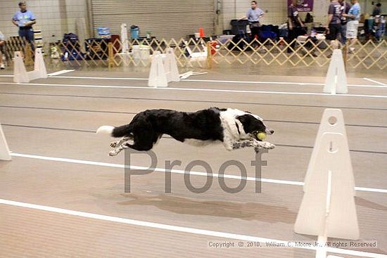 Birmingham Bandits Summer Shootout<br />June 26, 2010<br />Bessemer Civic Center<br />Bessemer Al