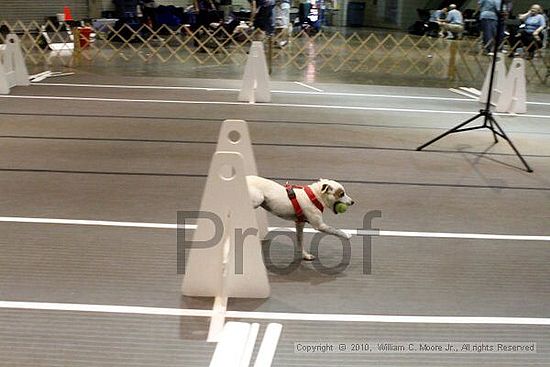 Birmingham Bandits Summer Shootout<br />June 26, 2010<br />Bessemer Civic Center<br />Bessemer Al