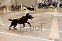 img_5288_thm.jpg