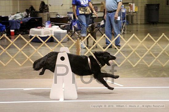 Birmingham Bandits Summer Shootout<br />June 26, 2010<br />Bessemer Civic Center<br />Bessemer Al