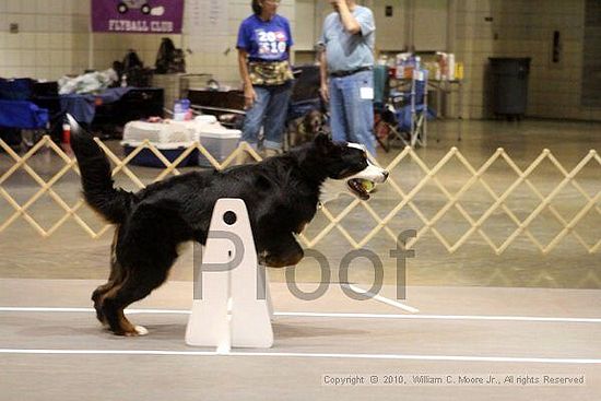 Birmingham Bandits Summer Shootout<br />June 26, 2010<br />Bessemer Civic Center<br />Bessemer Al