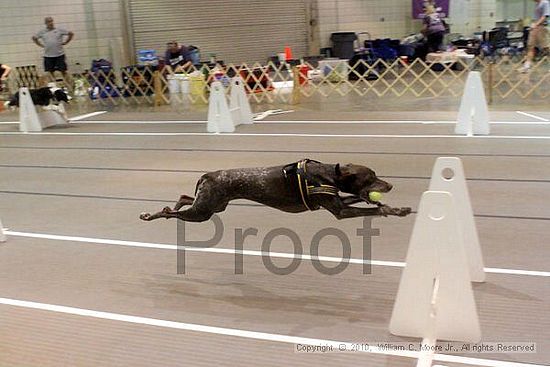 Birmingham Bandits Summer Shootout<br />June 26, 2010<br />Bessemer Civic Center<br />Bessemer Al