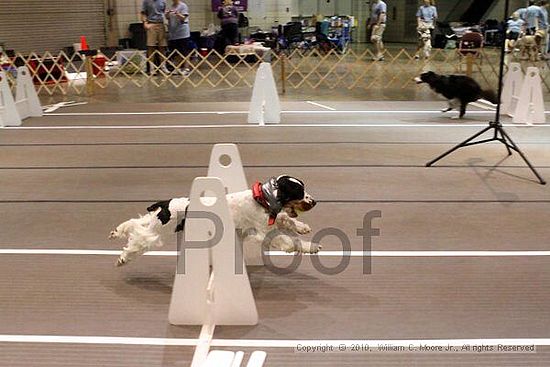 Birmingham Bandits Summer Shootout<br />June 26, 2010<br />Bessemer Civic Center<br />Bessemer Al