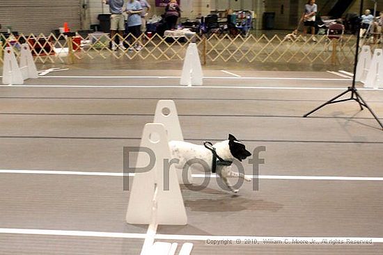 Birmingham Bandits Summer Shootout<br />June 26, 2010<br />Bessemer Civic Center<br />Bessemer Al