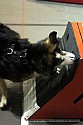 img_5363_thm.jpg