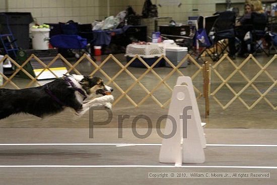 Birmingham Bandits Summer Shootout<br />June 26, 2010<br />Bessemer Civic Center<br />Bessemer Al