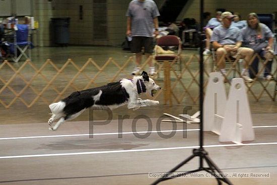 Birmingham Bandits Summer Shootout<br />June 26, 2010<br />Bessemer Civic Center<br />Bessemer Al