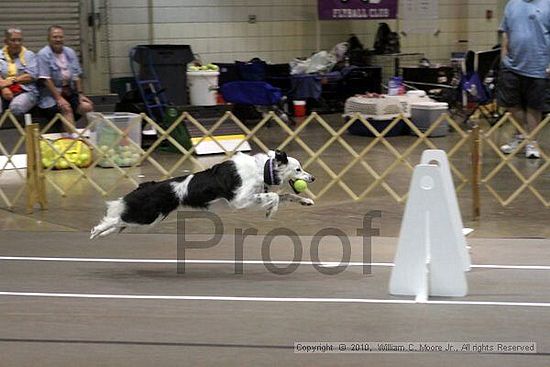 Birmingham Bandits Summer Shootout<br />June 26, 2010<br />Bessemer Civic Center<br />Bessemer Al