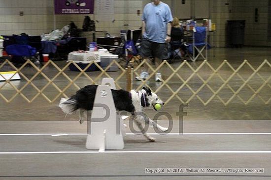 Birmingham Bandits Summer Shootout<br />June 26, 2010<br />Bessemer Civic Center<br />Bessemer Al