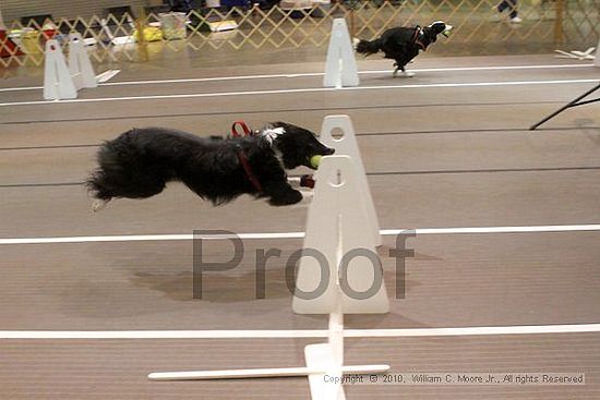 Birmingham Bandits Summer Shootout<br />June 26, 2010<br />Bessemer Civic Center<br />Bessemer Al