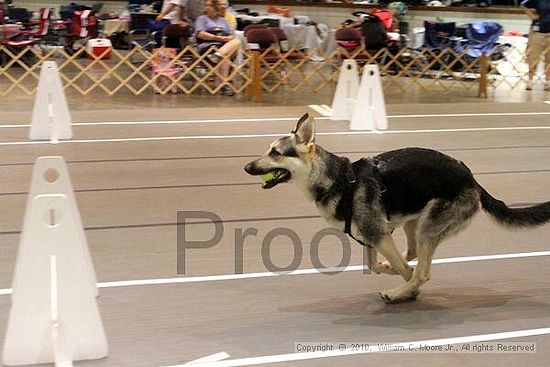 Birmingham Bandits Summer Shootout<br />June 26, 2010<br />Bessemer Civic Center<br />Bessemer Al