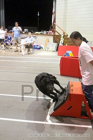 Birmingham Bandits Summer Shootout<br />June 26, 2010<br />Bessemer Civic Center<br />Bessemer Al