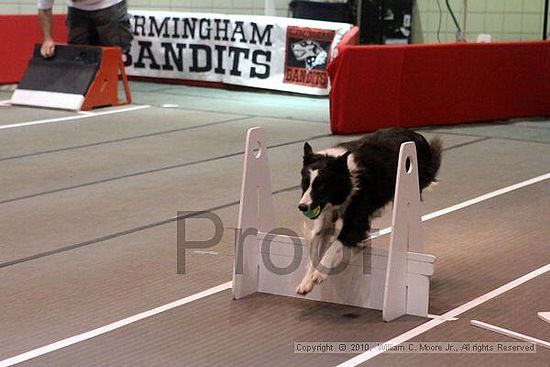 Birmingham Bandits Summer Shootout<br />June 26, 2010<br />Bessemer Civic Center<br />Bessemer Al