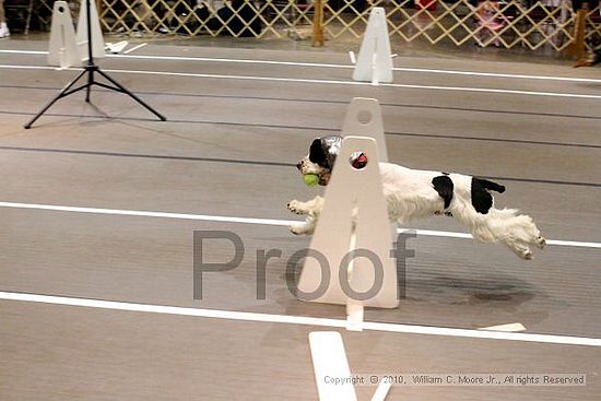 Birmingham Bandits Summer Shootout<br />June 26, 2010<br />Bessemer Civic Center<br />Bessemer Al