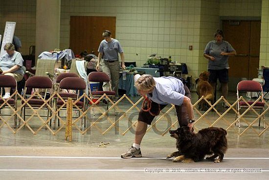 Birmingham Bandits Summer Shootout<br />June 26, 2010<br />Bessemer Civic Center<br />Bessemer Al