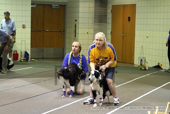 Birmingham Bandits Summer Shootout<br />June 26, 2010<br />Bessemer Civic Center<br />Bessemer Al