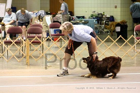 Birmingham Bandits Summer Shootout<br />June 26, 2010<br />Bessemer Civic Center<br />Bessemer Al