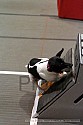 img_5551_thm.jpg