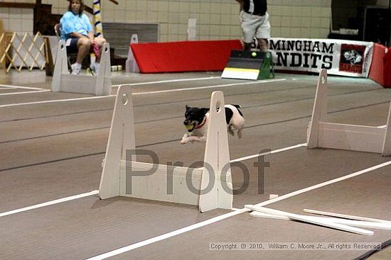 Birmingham Bandits Summer Shootout<br />June 26, 2010<br />Bessemer Civic Center<br />Bessemer Al