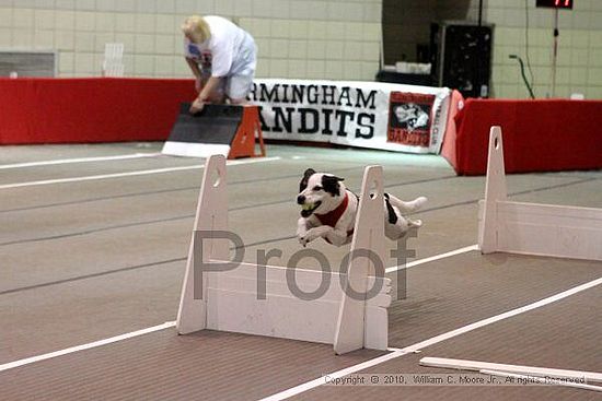 Birmingham Bandits Summer Shootout<br />June 26, 2010<br />Bessemer Civic Center<br />Bessemer Al