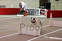 img_5582_thm.jpg