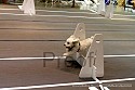 img_5598_thm.jpg
