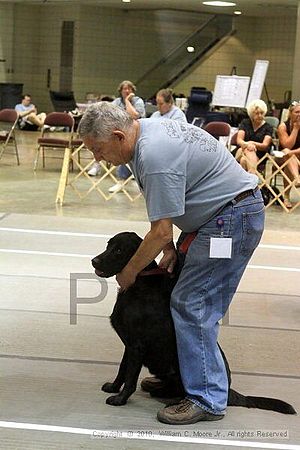 Birmingham Bandits Summer Shootout<br />June 26, 2010<br />Bessemer Civic Center<br />Bessemer Al