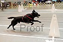 img_5668_thm.jpg