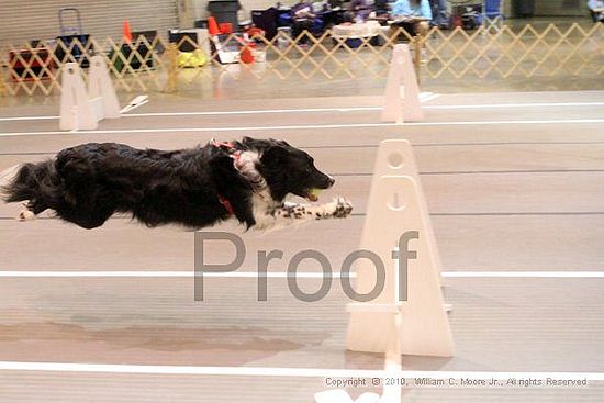 Birmingham Bandits Summer Shootout<br />June 26, 2010<br />Bessemer Civic Center<br />Bessemer Al