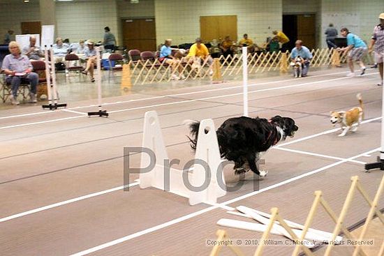 Birmingham Bandits Summer Shootout<br />June 26, 2010<br />Bessemer Civic Center<br />Bessemer Al