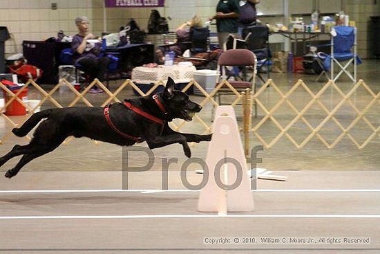 Birmingham Bandits Summer Shootout<br />June 26, 2010<br />Bessemer Civic Center<br />Bessemer Al