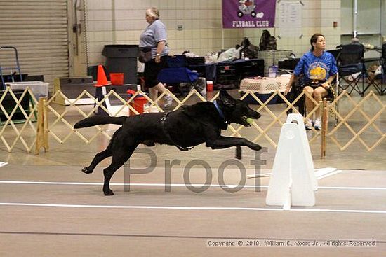 Birmingham Bandits Summer Shootout<br />June 26, 2010<br />Bessemer Civic Center<br />Bessemer Al