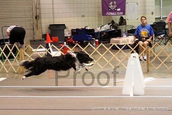 Birmingham Bandits Summer Shootout<br />June 26, 2010<br />Bessemer Civic Center<br />Bessemer Al