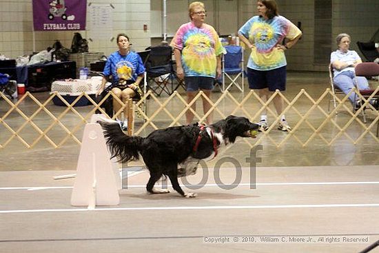 Birmingham Bandits Summer Shootout<br />June 26, 2010<br />Bessemer Civic Center<br />Bessemer Al