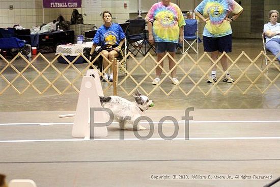 Birmingham Bandits Summer Shootout<br />June 26, 2010<br />Bessemer Civic Center<br />Bessemer Al